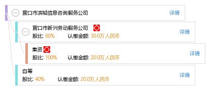 營口市濱城信息咨詢服務公司 專業信息咨詢，助力企業與個人決策