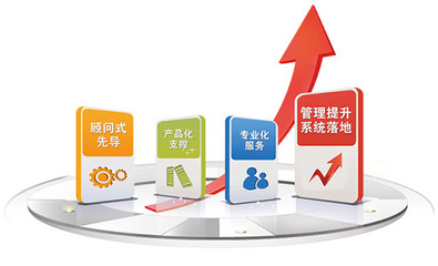 企業(yè)信息化體系框架評價與信息咨詢服務(wù)解析