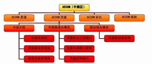 轉(zhuǎn)型全過程工程咨詢服務(wù) 捷徑如何走？信息咨詢服務(wù)的核心引領(lǐng)